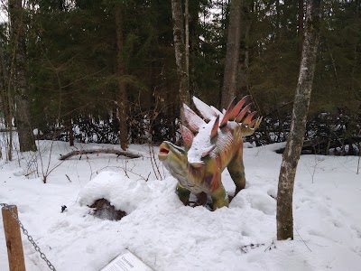 Photos of Dinosaur Park "Evolution"