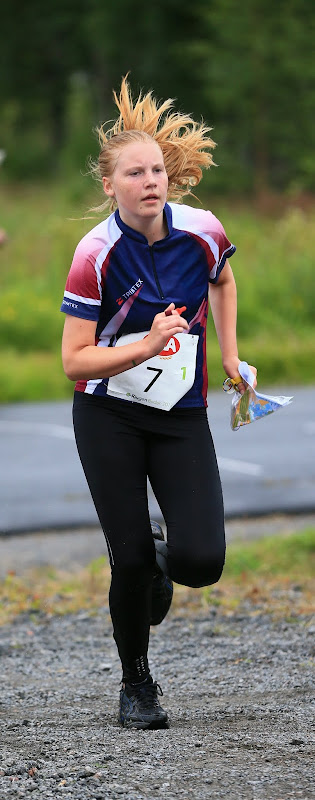 IMAGE: https://lh5.googleusercontent.com/-MVoDA--Cun8/UfwAs-5ZfBI/AAAAAAAASJo/oWeui-LWOdg/s800/AP1D1732.JPG