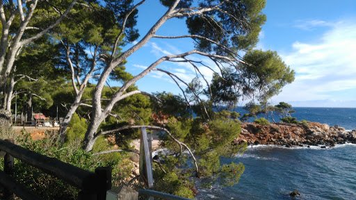 Le Mediterraneen