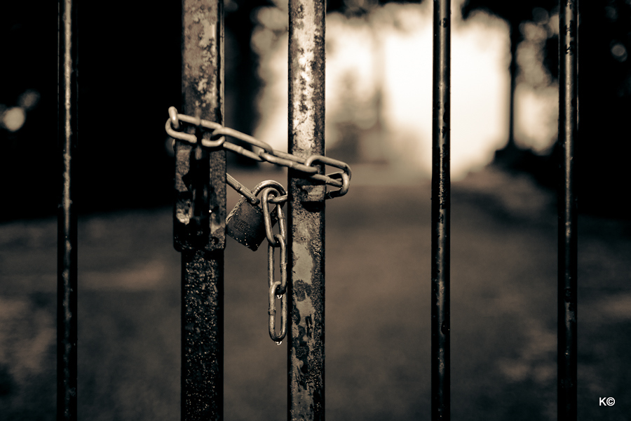 IMAGE: https://lh5.googleusercontent.com/-M_vqgOpe7Dg/T16F1aQhVdI/AAAAAAAAZ_Q/xrCmffZFhL0/s900/_MG_9661.JPG