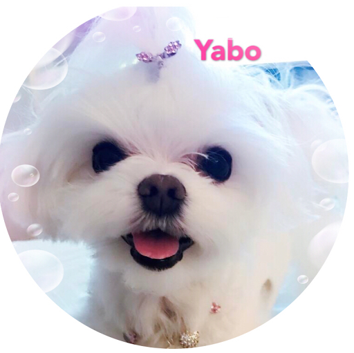 Yabo Pet Spa 寵物造型工作室 logo