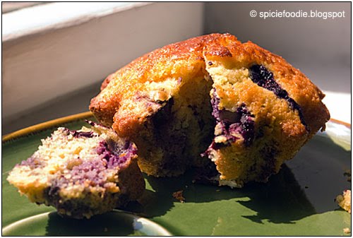 blueberry corn muffin,corn muffins