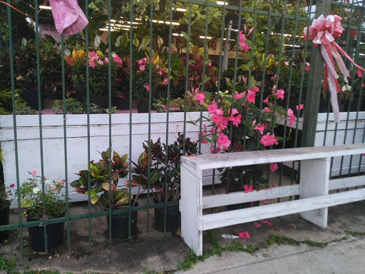 Florist «Fannin Flower & Garden Center», reviews and photos, 4806 Fannin St, Houston, TX 77004, USA