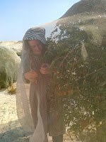 Volunteering in Beit Hogla east of Jericho