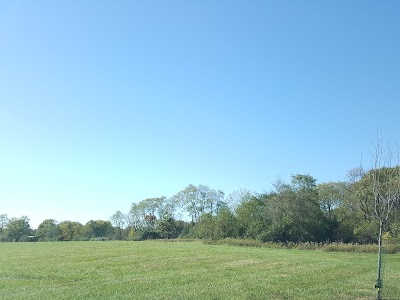 Photos of Shor Park