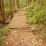 Track over old timber footbridge in the Watagans (322280)