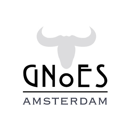 Gnoes logo