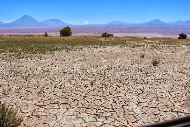 El salar de Atacama y las lagunas altiplánicas - EL AÑO DE LAS DOS PRIMAVERAS: 4 MESES VIVIENDO CHILE (2)