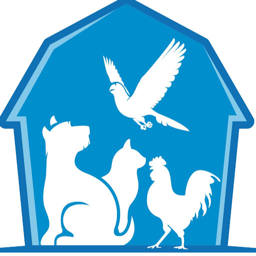 Blue Barn Pet & Hobby Farm