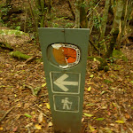 Timber track marker near the moss wall in the Watagans (322754)
