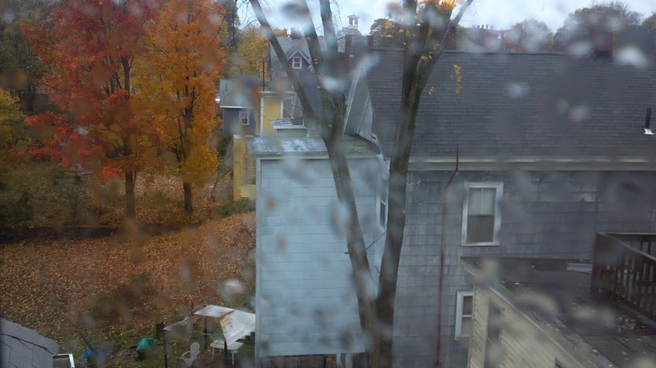 The green house. The part of the roof you can't see due to the tree in the way.