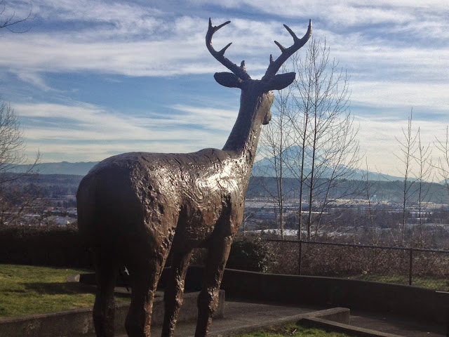 The Long Look, Brad Rude, with Mt Rainier in the background at Centennial Viewpoint Park. Auburn, Washington.