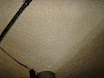DSC03529.JPG