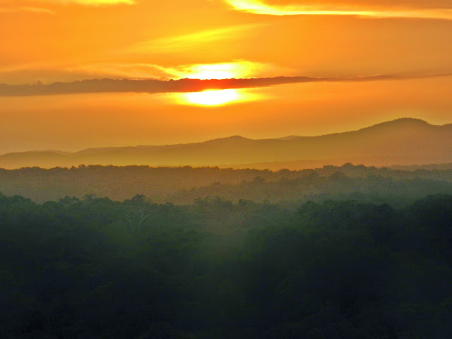 TIKAL: LA CIUDAD DE LAS VOCES DE LOS ESPÍRITUS - Blogs de Guatemala - De Belize a Tikal (4)