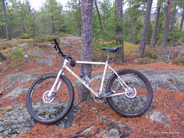 beer ride