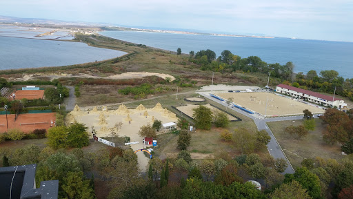 The Sea Garden