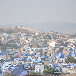 Photo de la galerie « Jodhpur, une cité bleue au coeur du désert »