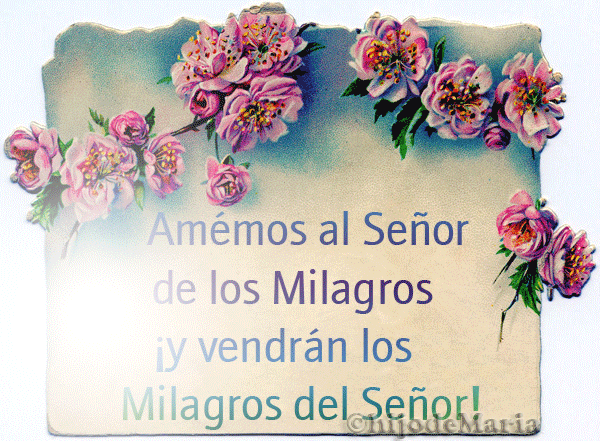 A Dios NO le gusta los caza-milagros: *Si uds. no ven signos y prodigios no creen - Juan 4,48 *
