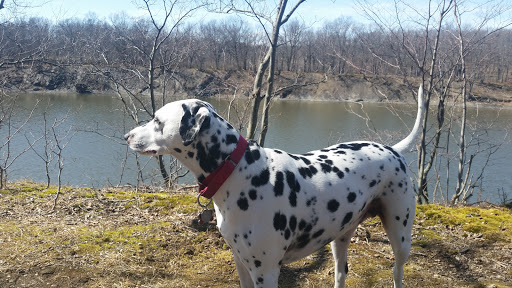 Peebles Island State Park