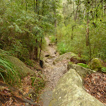 Walking along the edge of the gully south of Fishponds (325529)