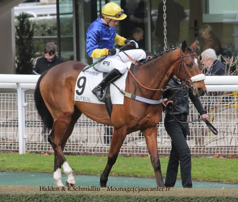 Photos Auteuil 1-03-2015 IMG_6978