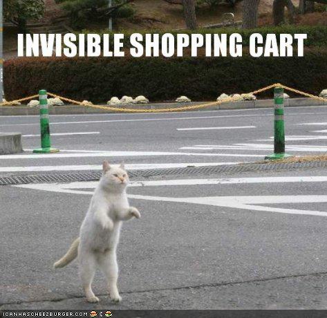 LOLcats - invisible object