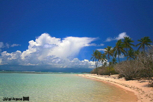 أجمل شواطئ الكاريبي  E%2520%25288%2529