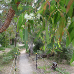 Wire fence to Saltwater Creek (105928)