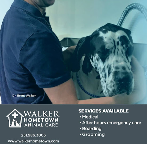 Walker Hometown Animal Care logo