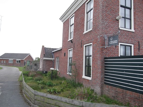 Wadlopen nel Waddezee Locali