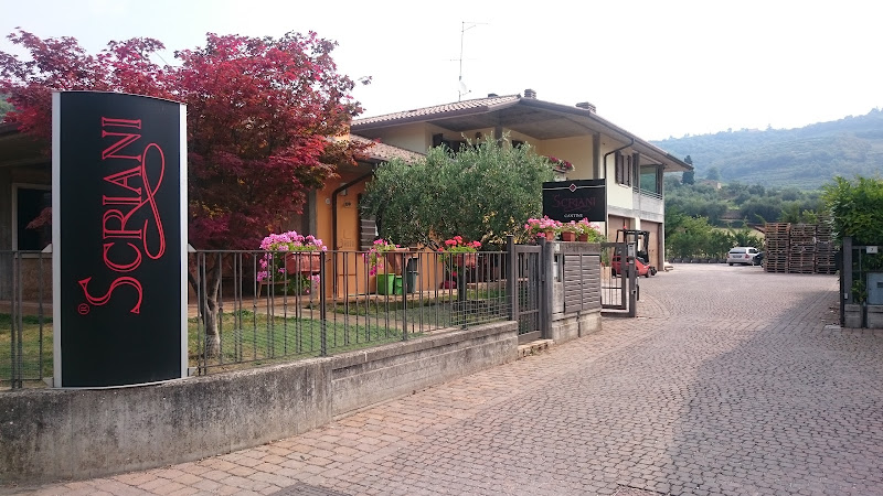 Main image of Azienda Agricola Scriani Fumane (Valpolicella)