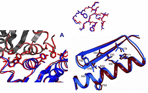 Image Protein Structure