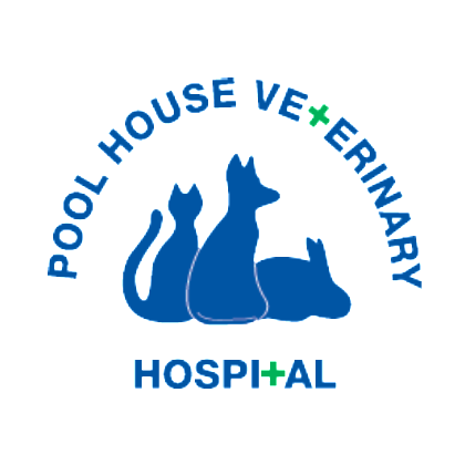 Pool House Vets