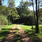 The old Ten Mile Hollow Rd (167612)