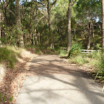 Sealed footpath in Green Point Reserve (389567)