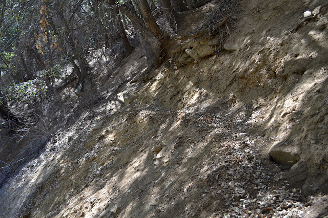 narrow tread on a steep dirt hill