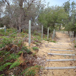 Ladder stairs down the dunes (107020)