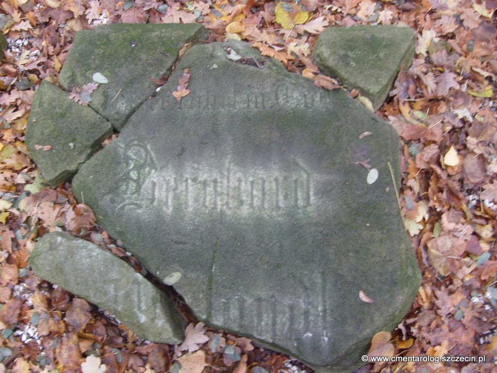 Nagrobek Bernharda W...andt (Podjuchy, ul. Ostowa)