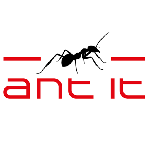 Ant IT logo