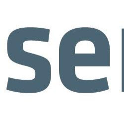 Seng Engineering Consultancy logo