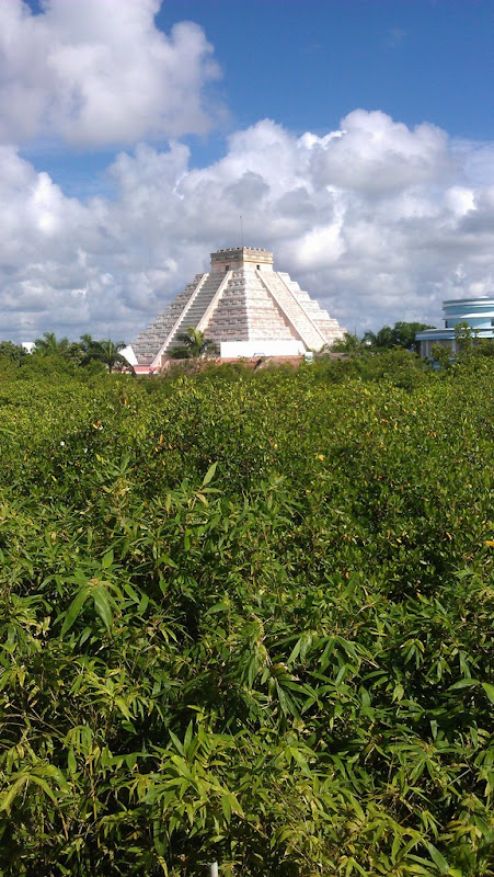 Vacaciones en el Iberostar Grand Hotel Paraiso en Riviera Maya 2012 - Blogs de Mexico - Día 2 (1)