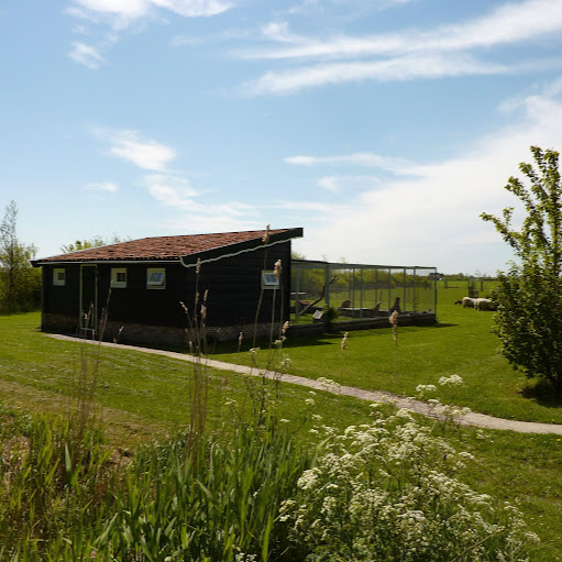 Kattenpension Vrouwenpolder