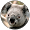 Koala Bär