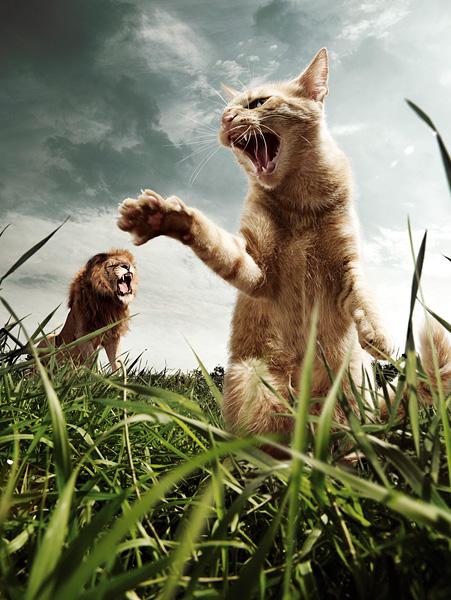 100-Amazing-&-Cool-Funny-Pictures-63 Image alt tage here