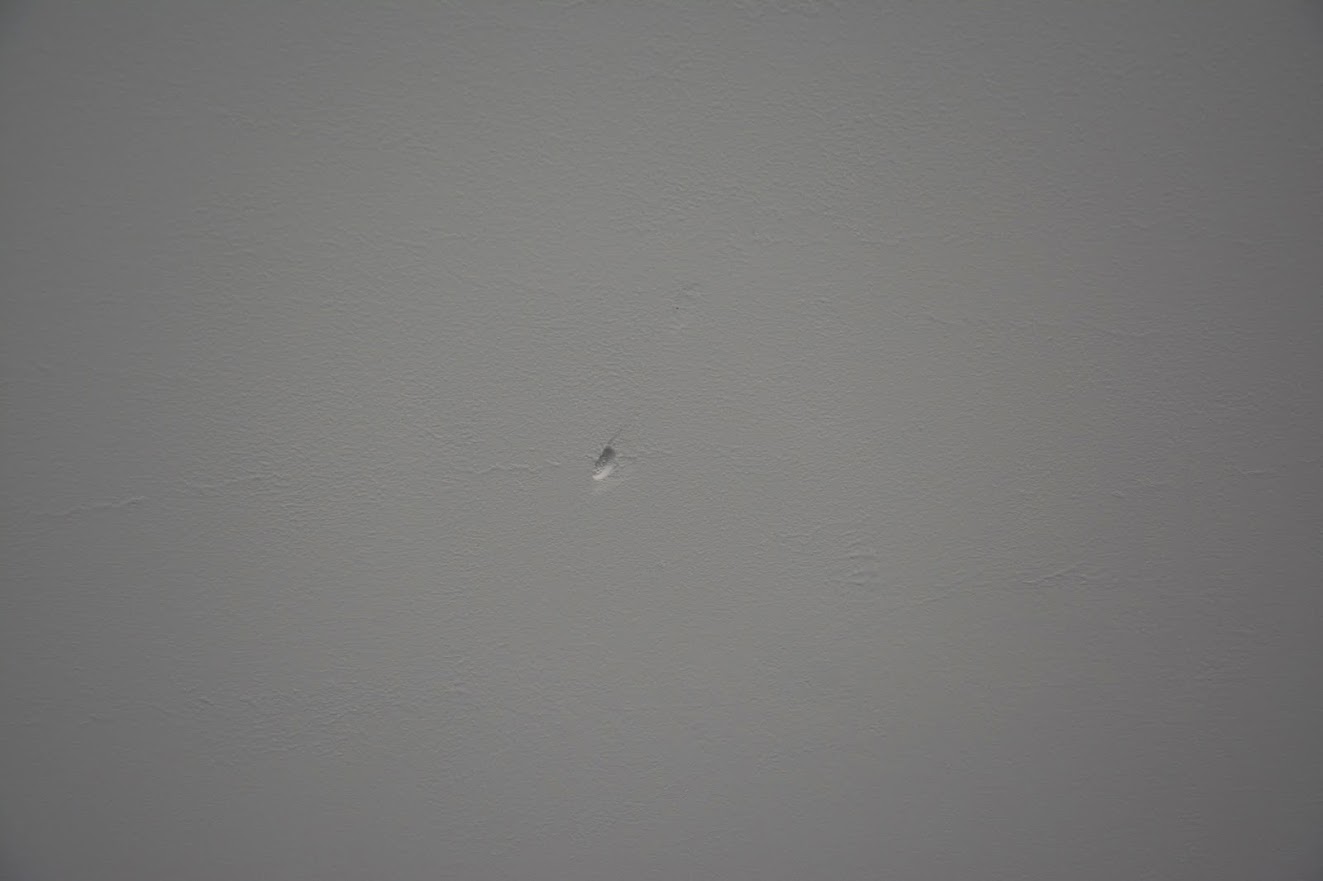 DSC_0727.JPG