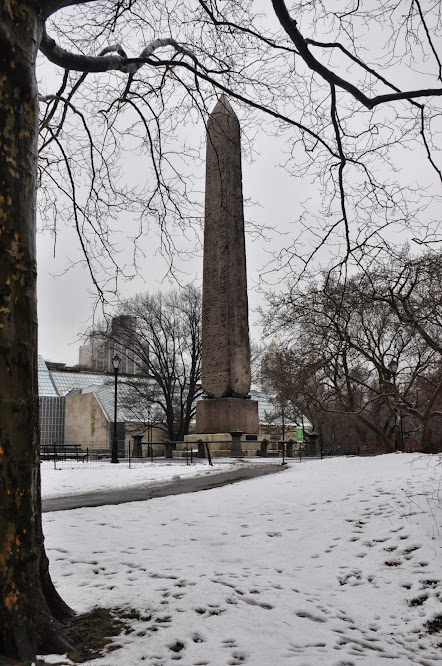 Deambulando por el centro (19 de marzo de 2013) - Nueva York y Washington DC bajo la nieve (2013) (6)