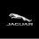 Jaguar Jacksonville