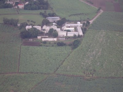 Photos of The Lodge School