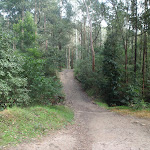 winding through the Lane Cove Valley (64148)