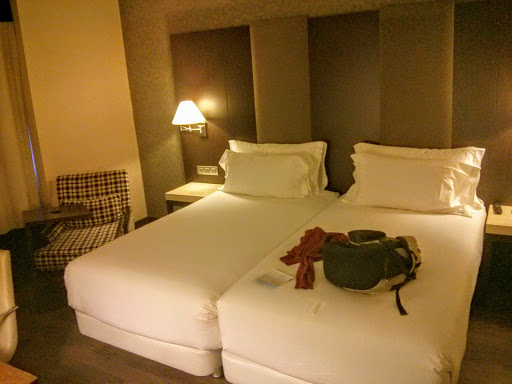 Hotel NH Madrid Sur